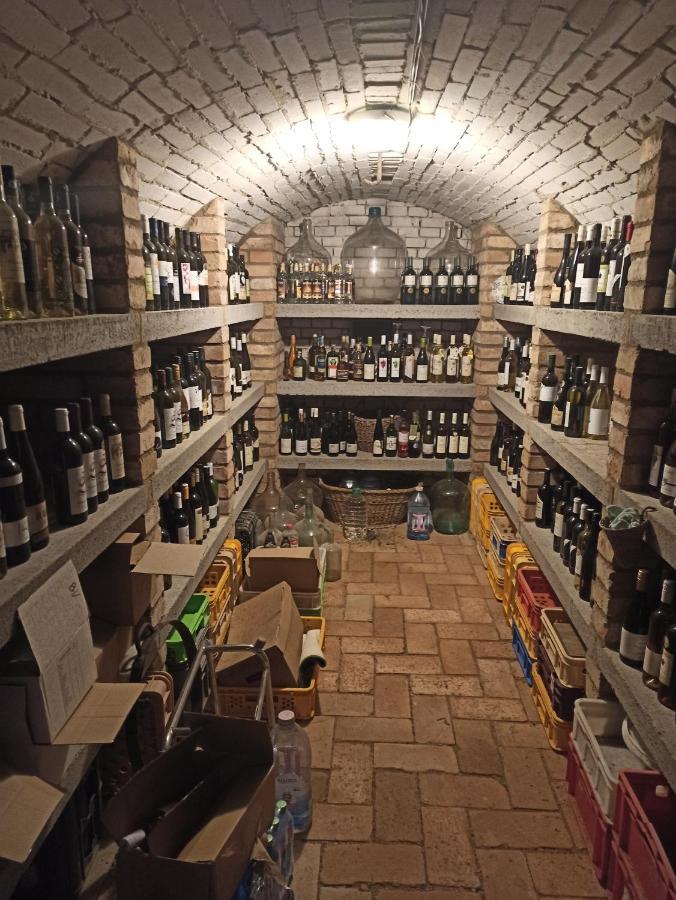 Ubytování Němčičky Nemcicky (Breclav) Exterior foto