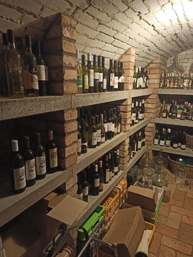 Ubytování Němčičky Nemcicky (Breclav) Exterior foto